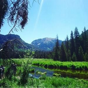 Meet your Posher, Blake